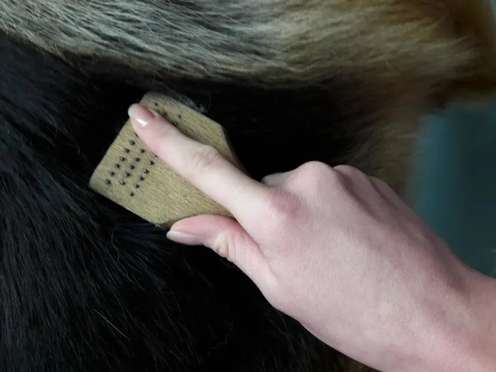 Soins pour animaux à Monpazier